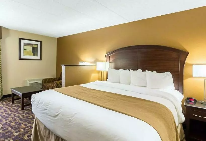 Standard-huone King-vuode, Quality Inn & Suites Arden Hills   Saint Paul North
