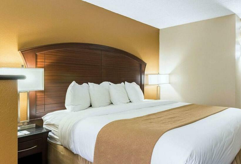 غرفة قياسية سرير كينج, Quality Inn & Suites Arden Hills   Saint Paul North