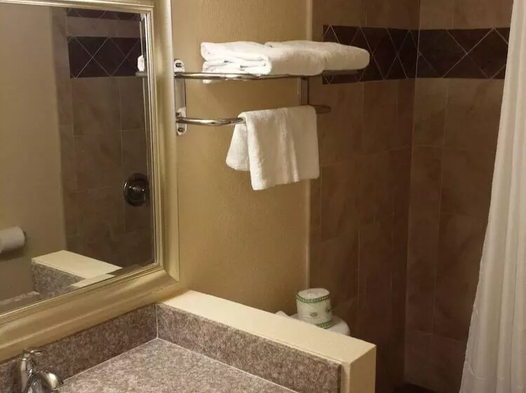 デラックスルーム, Travelodge By Wyndham San Diego Seaworld