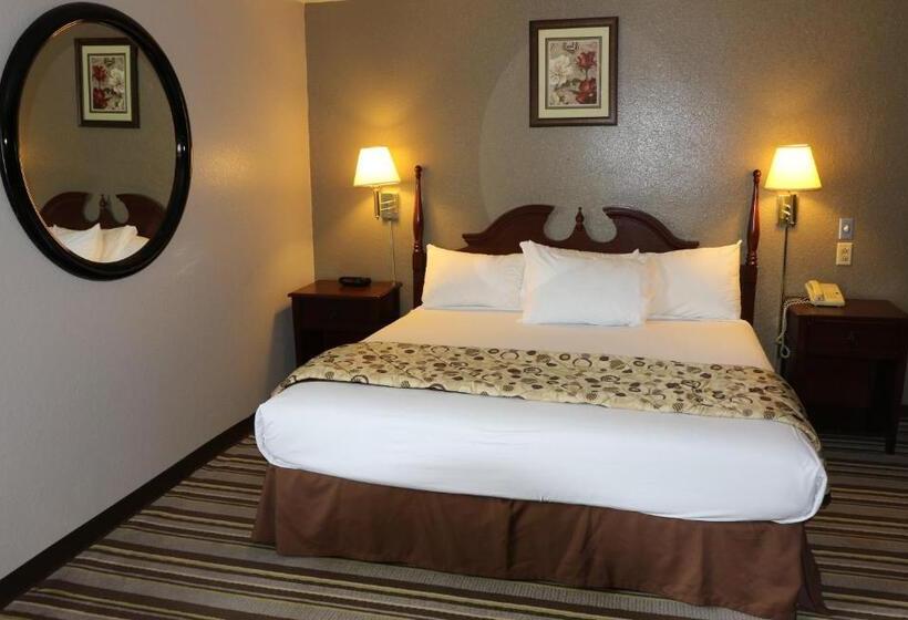 חדר סטנדרט עם מיטת קינג, American Elite Inn