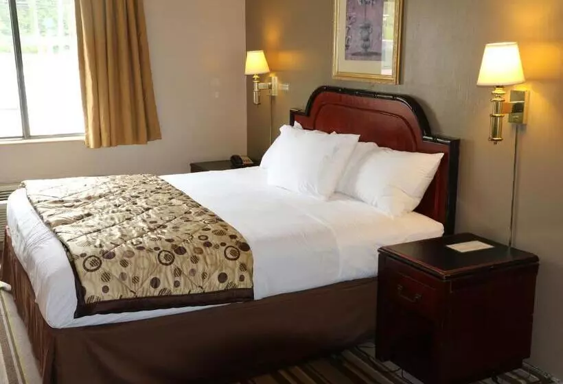 キングサイズベッドのスタンダードルーム, American Elite Inn