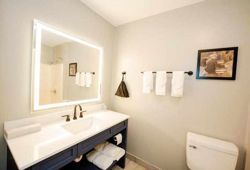 Номер Стандарт Кровать Кинг Адаптированный для Инвалидов, Americinn By Wyndham Tomahawk