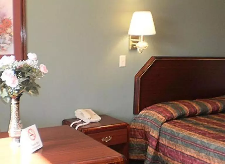キングサイズベッドのスタンダードルーム, Executive Inn & Suites   Covington