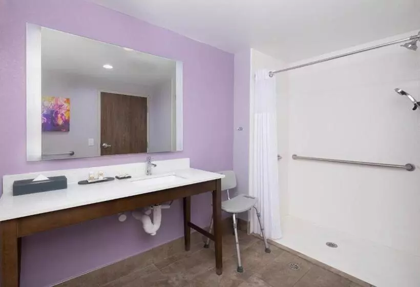 身障者適用キングサイズベッドルーム, La Quinta Inn & Suites By Wyndham Perry