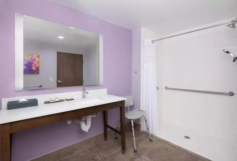 身障者適用キングサイズベッドルーム, La Quinta Inn & Suites By Wyndham Perry