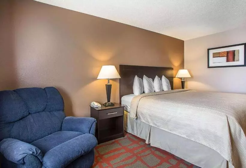 キングサイズベッドのスタンダードルーム, Quality Inn & Suites