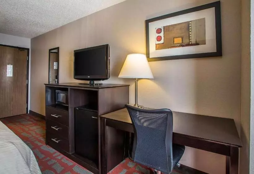 キングサイズベッドのスタンダードルーム, Quality Inn & Suites