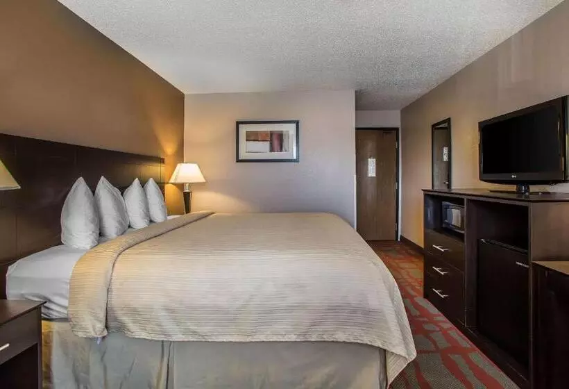 キングサイズベッドのスタンダードルーム, Quality Inn & Suites
