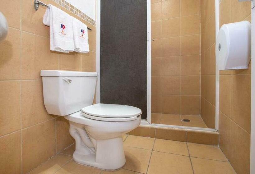 חדר סופריור, Euro Confort,pachuca