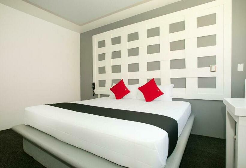 חדר סופריור, Euro Confort,pachuca