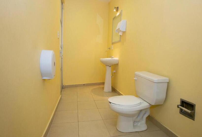 חדר סופריור, Euro Confort,pachuca