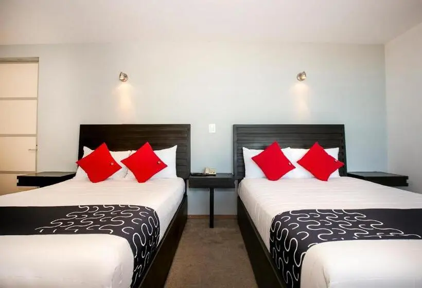 Superior-huone, Euro Confort,pachuca