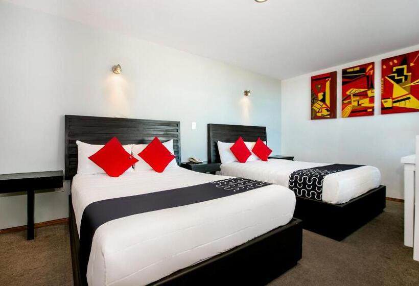 חדר סופריור, Euro Confort,pachuca