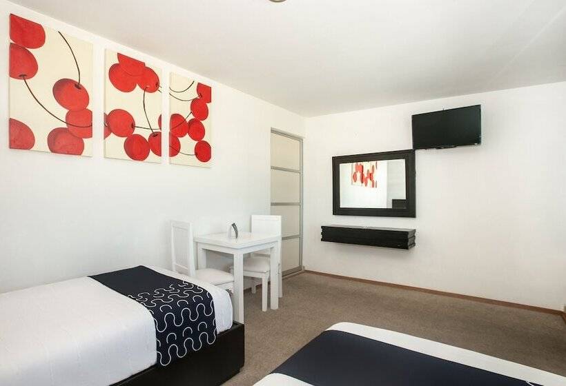 חדר סטנדרט, Euro Confort,pachuca