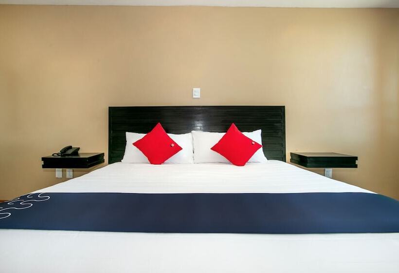 דירת שני חדרים, Euro Confort,pachuca