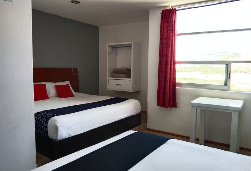 חדר דלוקס, Euro Confort,pachuca