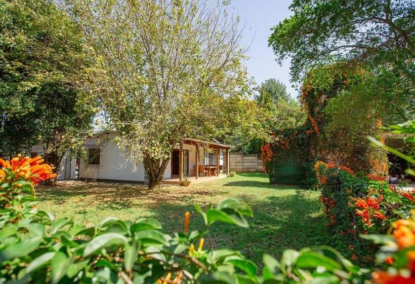 带1个卧室带花园景观的公寓, Golden Candle Guest House