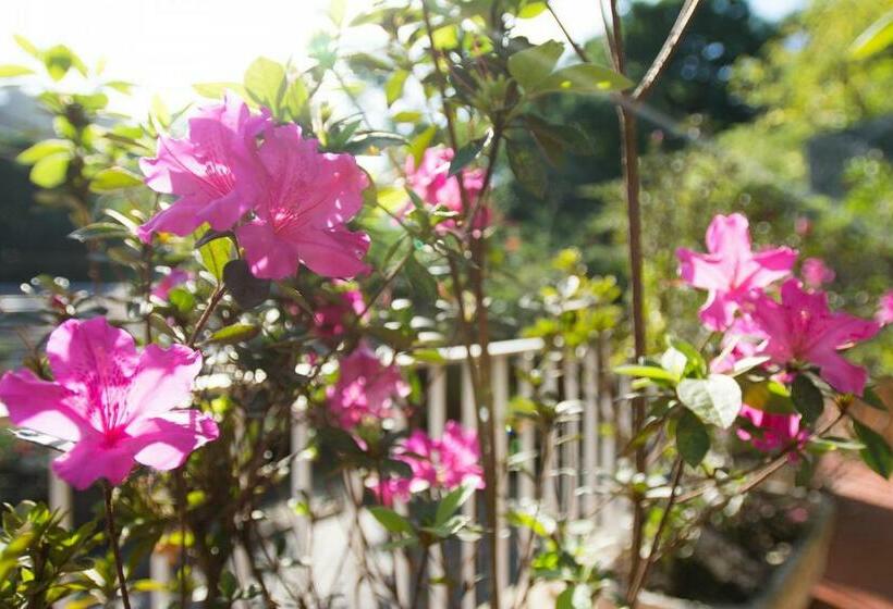 سوییت لوکس, Rio Boutique Suites