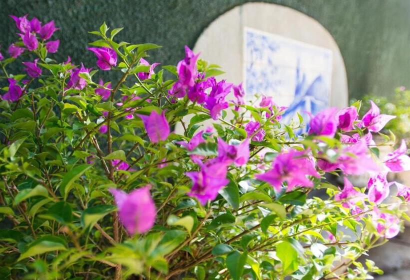 اتاق استاندارد سه نفره, Rio Boutique Suites