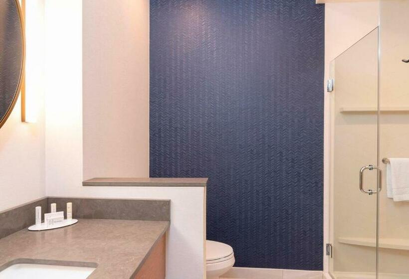 إستوديو قياسى سرير كينج, Fairfield Inn & Suites By Marriott Fair Oaks Farms