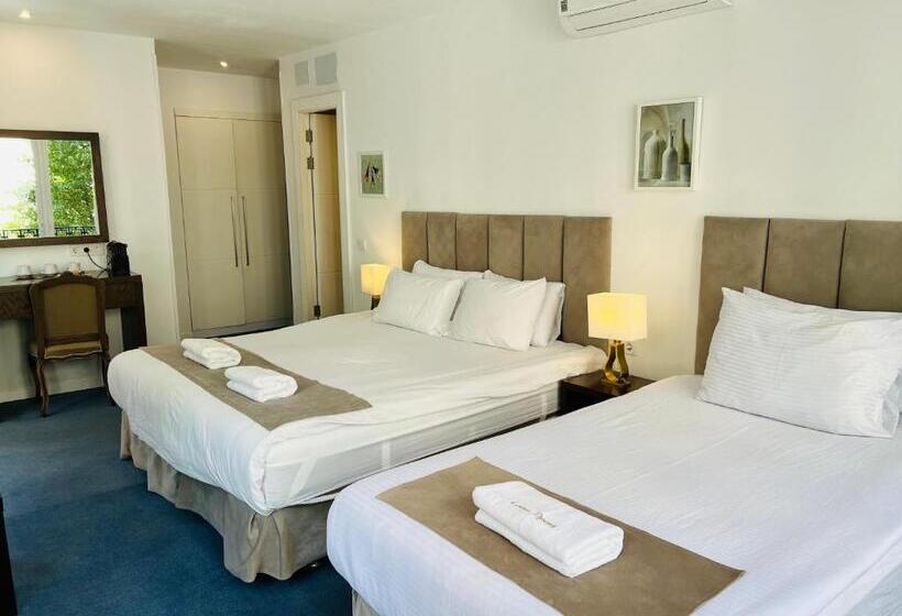 اتاق سوپریور با چشم‌انداز شهر, Casa Navid