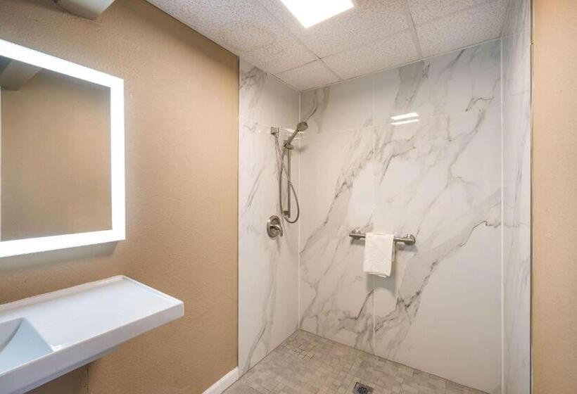 Номер Стандарт Кровать Кинг Адаптированный для Инвалидов, Quality Inn