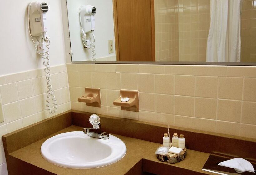 Номер Стандарт 2 Двуспальные Кровати, T Bird Motor Inn