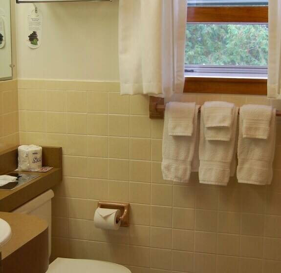 غرفه قياسيه سريرين مزدوجين, T Bird Motor Inn