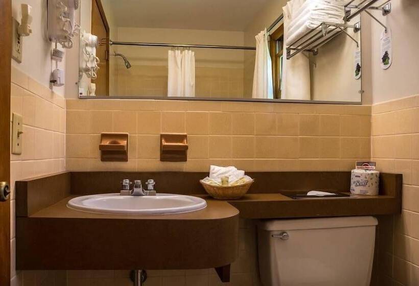 غرفة ديلوكس سرير ملكى, T Bird Motor Inn