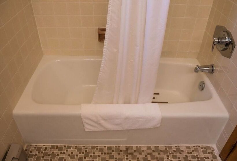 غرفة ديلوكس سرير ملكى, T Bird Motor Inn