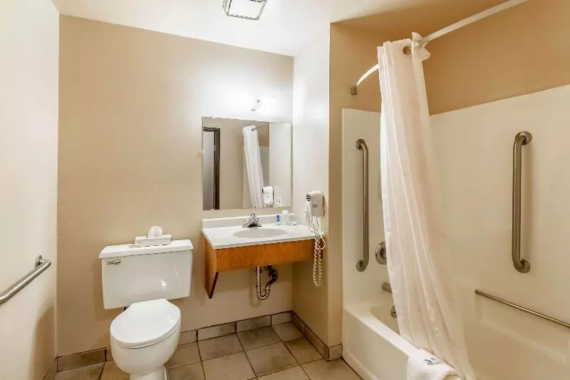 اتاق استاندارد با تخت بزرگ, Rodeway Inn