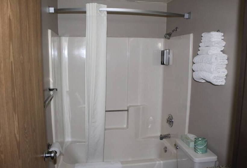 اتاق استاندارد با 2 تخت دوبل, Super 8 By Wyndham Bridgeview/chicago Area