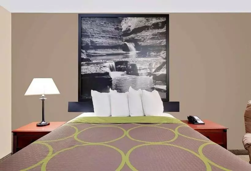 اتاق استاندارد برای معلولان, Super 8 By Wyndham Ithaca