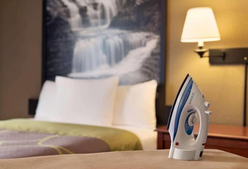 غرفه قياسيه سريرين مزدوجين, Super 8 By Wyndham Ithaca