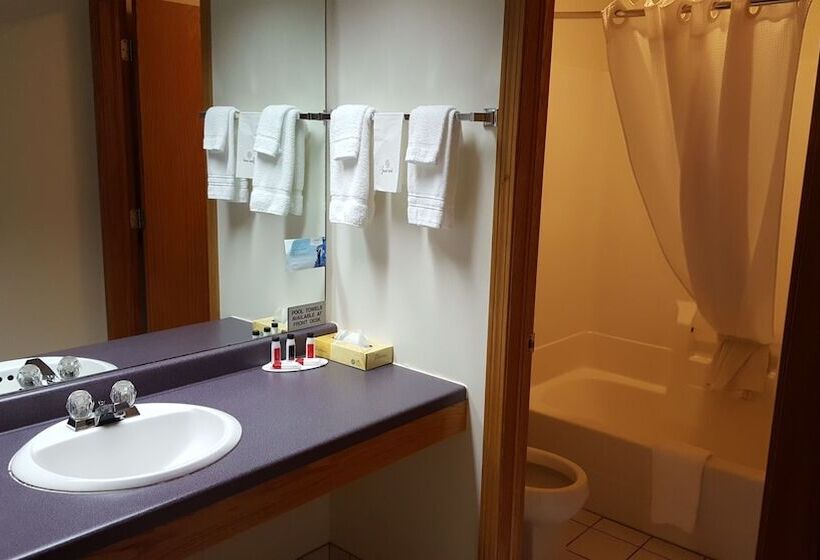 غرفة قياسية, Super 8 By Wyndham Sparta