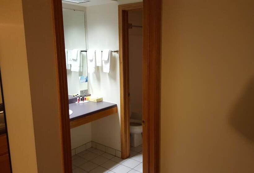 جناح سرير كينج, Super 8 By Wyndham Sparta