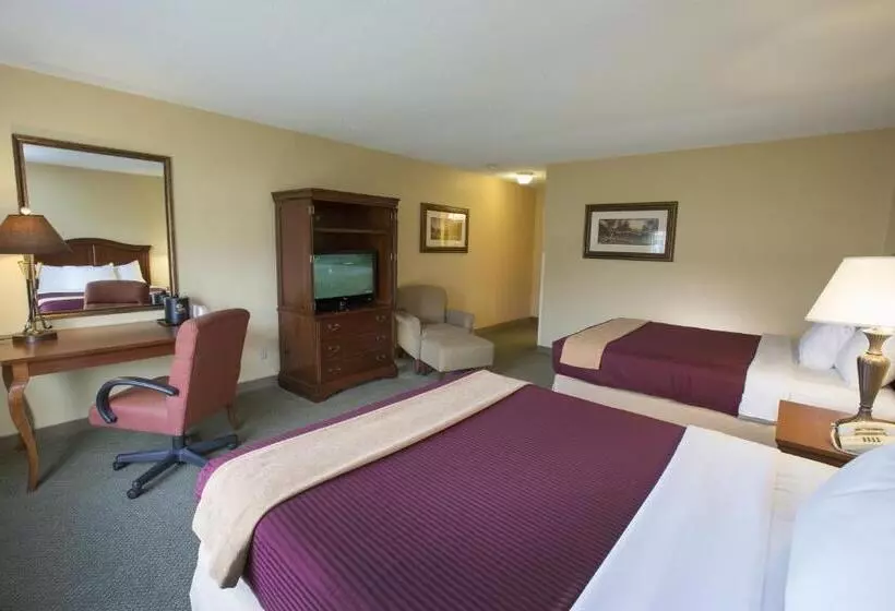デラックスルーム, Swan Lake Resort