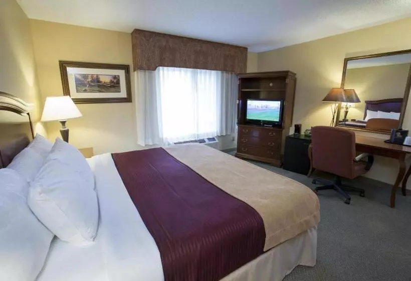 キングサイズベッドのデラックスルーム, Swan Lake Resort