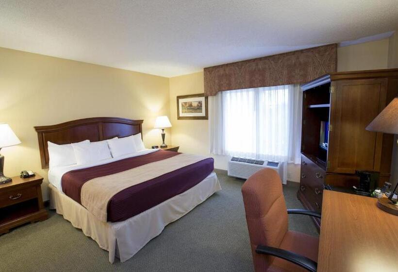 غرفة ديلوكس سرير كينج, Swan Lake Resort