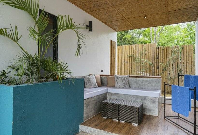 اتاق لوکس, Bird Of Paradise