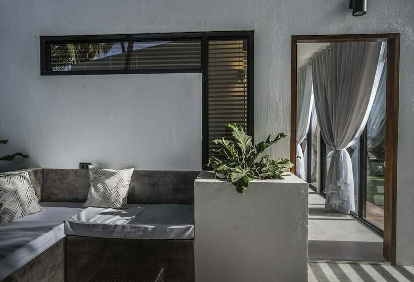 اتاق لوکس, Bird Of Paradise