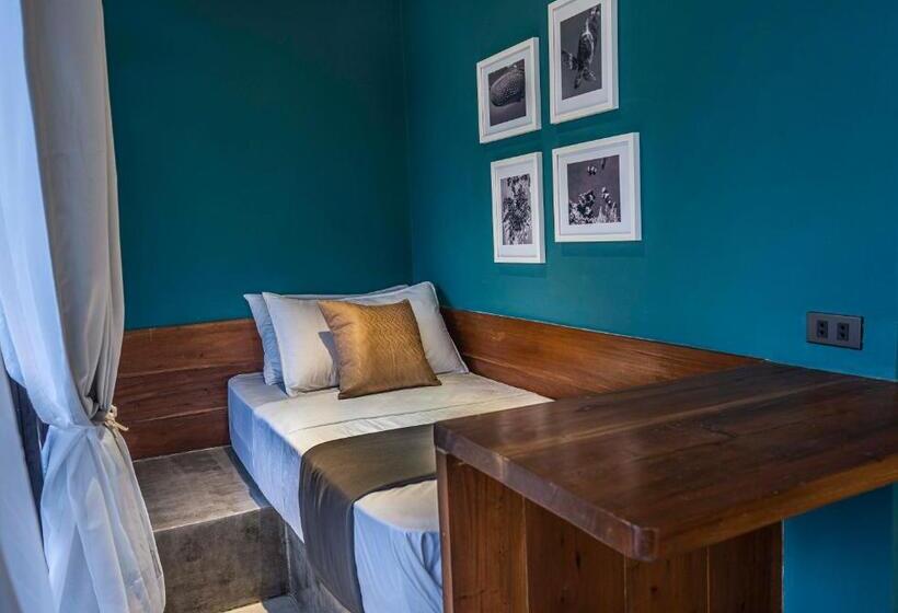 اتاق سوپریور, Bird Of Paradise