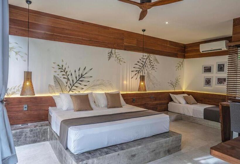 اتاق لوکس, Bird Of Paradise