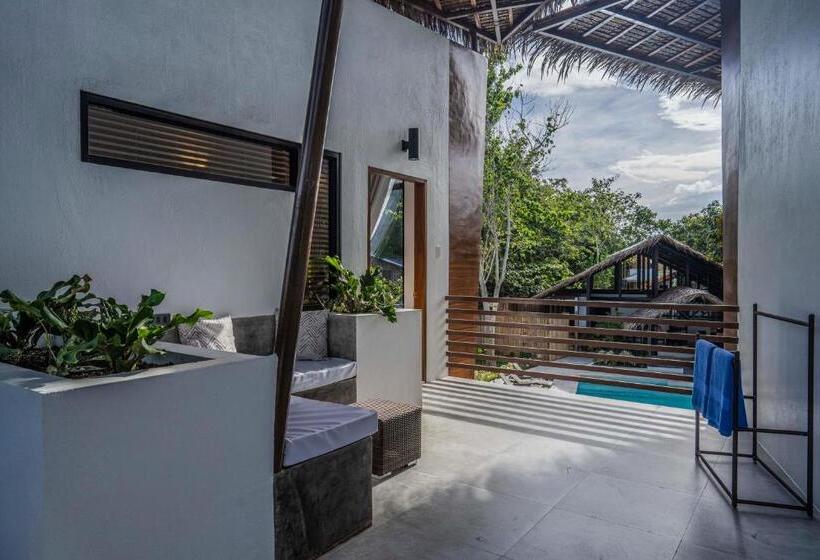 اتاق لوکس, Bird Of Paradise