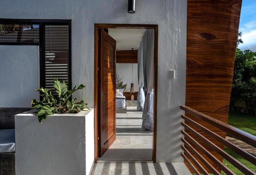 اتاق لوکس, Bird Of Paradise