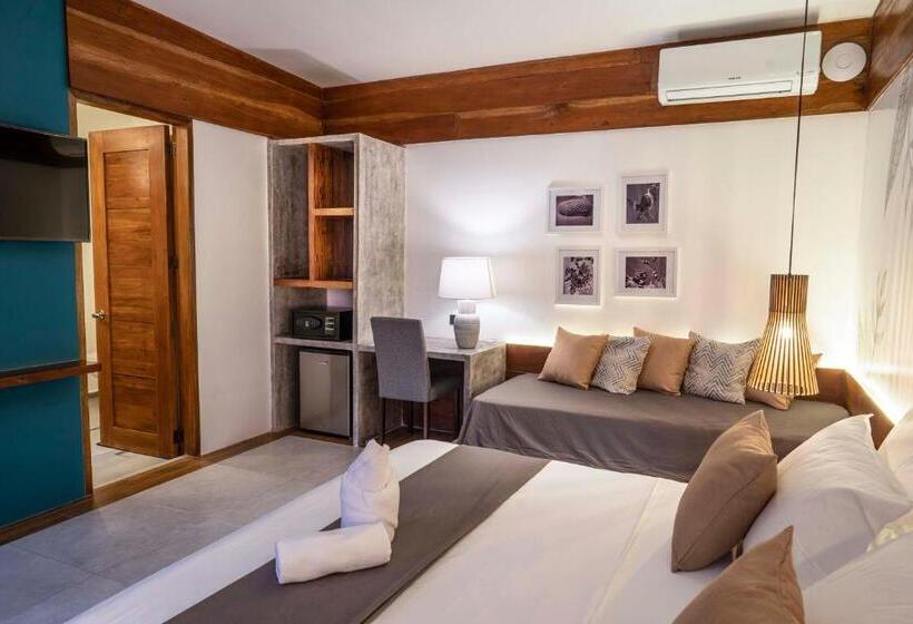 اتاق لوکس, Bird Of Paradise