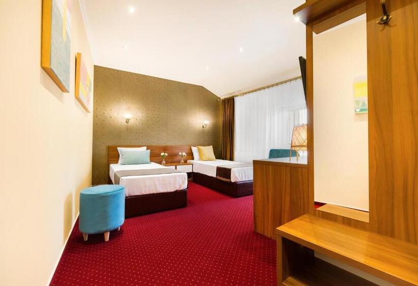 اتاق سوپریور با تخت بزرگ, Bucur 9