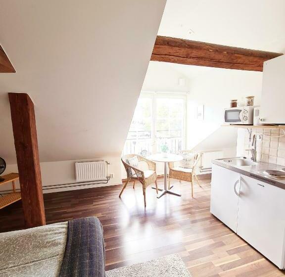 חדר סטודיו סטנדרד, Röda Magasinet