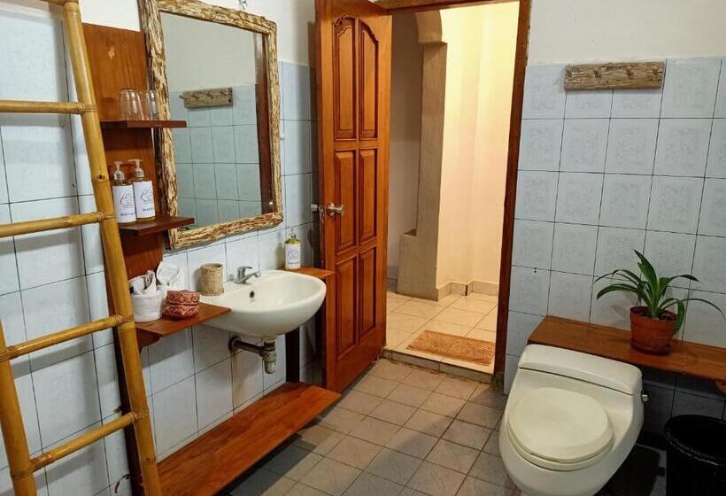 غرفة ديلوكس, Binaria Museum