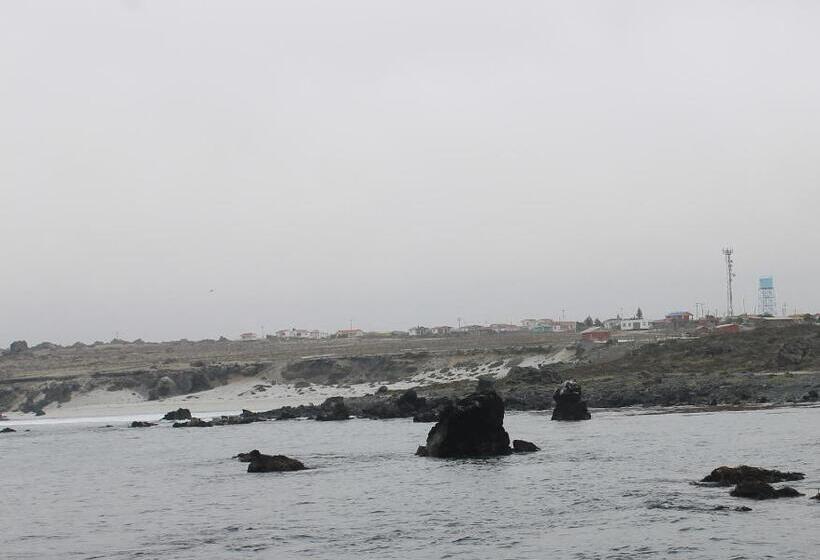 Семейное Бунгало, Cabaña Albergo Punta De Choros
